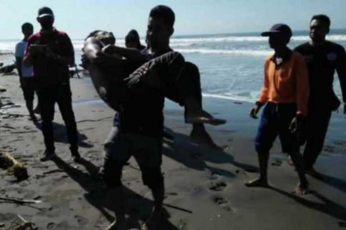 Terseret Arus Di Pantai Rambutsiwi, Pria Asal Makassar Ditemukan Selamat 1