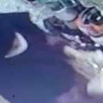 Diduga Gasak Kosmetik, Wanita Berhijab Terekam CCTV