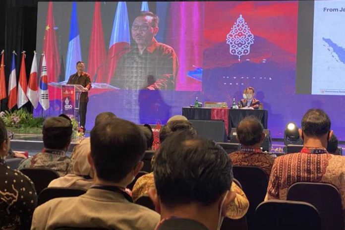 IKN Akan Menjadi Kota Berkelanjutan Ditingkat Asia Dan Dunia 1