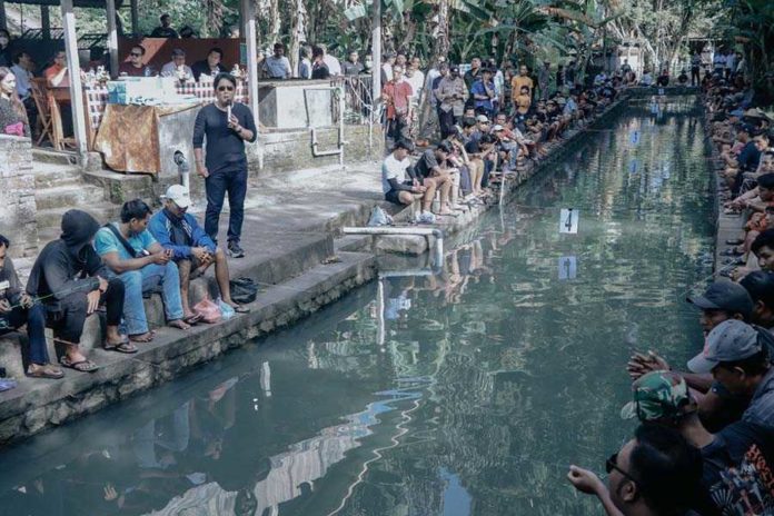 Bupati Giri Prasta Buka Lomba Mancing Air Deras ST Taman Swastika Banjar Alangkajeng 1