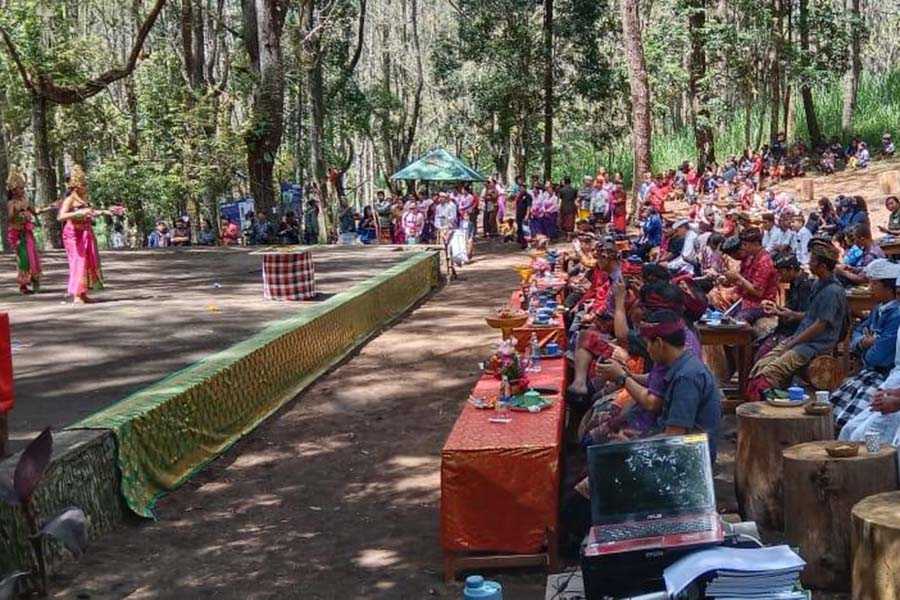 Desa Adat Gelagahlinggah Kelola Hutan Pinus Jadi Destinasi Wisata 1