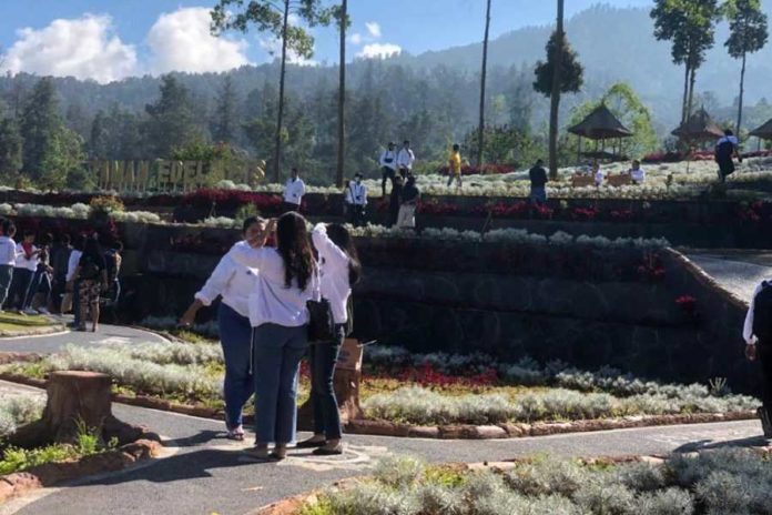 Jumlah Kunjungan Ke Objek Wisata Taman Edelweis Besakih Menurun 1