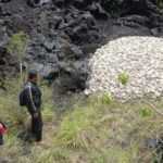 Ribuan Bangkai Ayam Potong Dibuang di Kawasan TWA Gunung Batur Bukit Payang