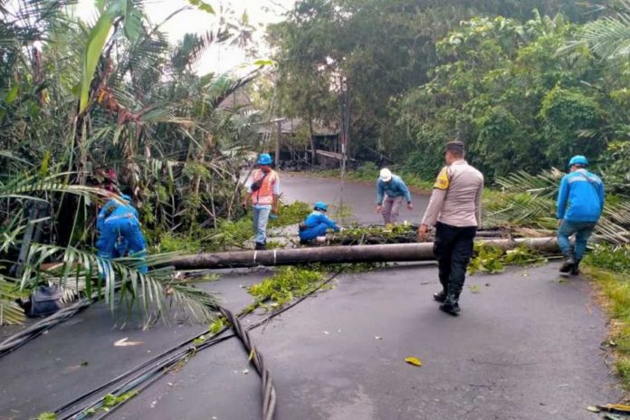 Tiang PLN Roboh, Arus Lali Sibetan Duda Timur Terganggu 1