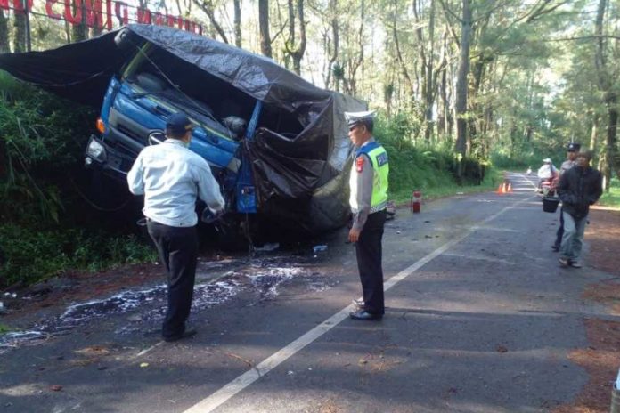 Truk Tangki BBM Tabrak Pohon Dan Terguling Di Hutan Pinus Kintamani 1