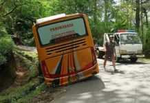 Bus Rombongan Pemedek PKK Terperosok di Kintamani