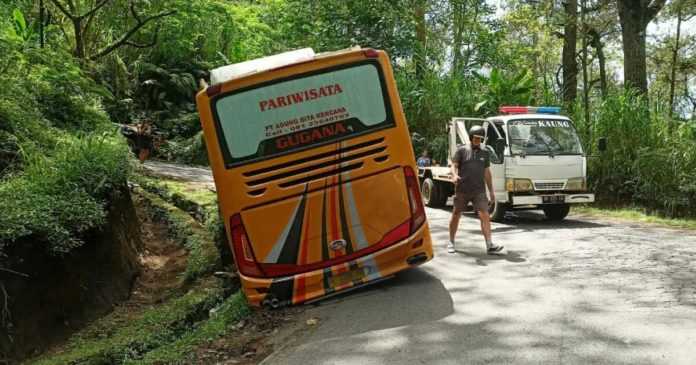 Bus Rombongan Pemedek PKK Terperosok di Kintamani