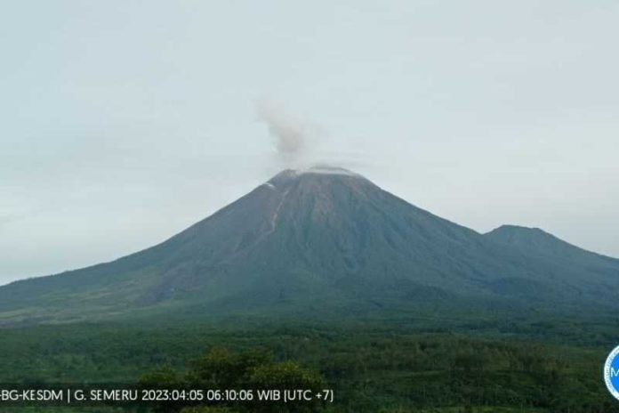 Gunung Semeru Alami 14 Kali Gempa Letusan 1