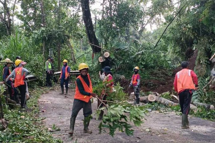 Pascalongsor Tutup Akses Ke Pura Besakih, Warga Bis Gunakan 2 Jalur Alternatif Ini 1