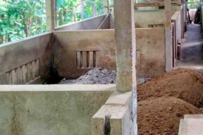 Bergejala Seperti Ini, Ribuan Babi Di Desa Bila Mati Mendadak 1