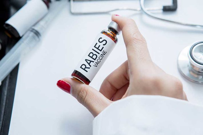 Sepanjang 2025 Belasan Orang Meninggal Akibat Rabies, Kabupaten Ini ...