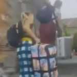 Bawa Koper, Dua Wisman ‘’Bertamu’’ ke Pura Ulun Danu Batur