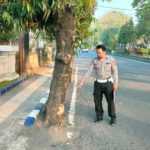 Tabrak Pohon dan Ditabrak Mobil Tak Dikenal, Pemotor Tewas