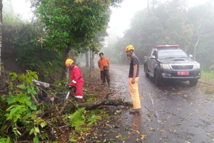 Hingga pekan depan, Bali masih akan diguyur hujan, berikut beberapa penyebabnya