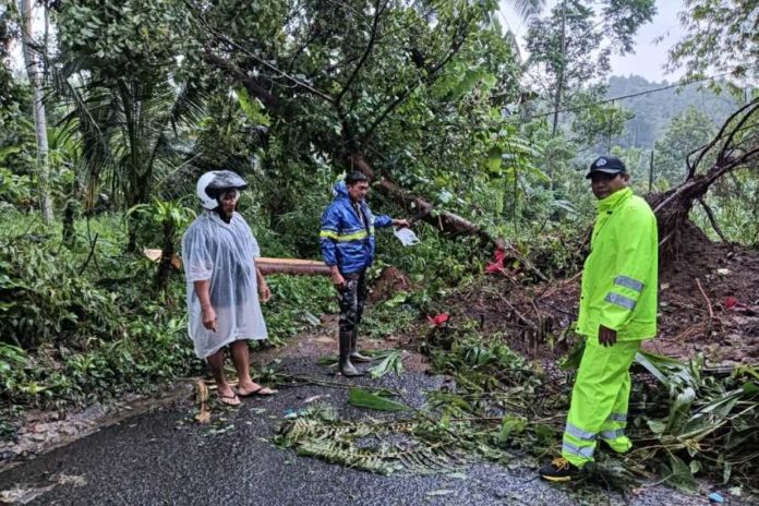 Hujan Sehari Sebabkan 78 Bencana Di Bali, Satu Korban Jiwa Dan Satu Dalam Pencarian 1