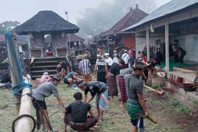 Setiap Purnama Kasa, Desa Adat Subaya Gelar Upacara “Naur Kelaci” 1