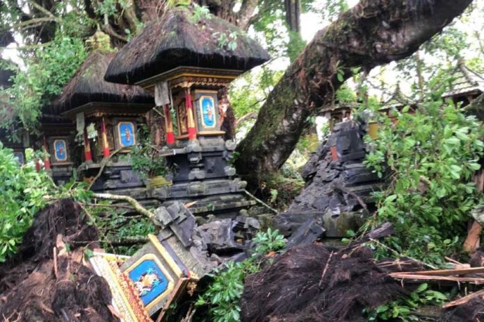 Tertimpa Pohon, Sejumlah Pelinggih Di Pura Bukit Indrakila Rusak Parah 1