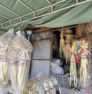 Jelang Hari Raya Galungan, Harga Bahan Upacara dan Daging Babi di Badung Mulai Naik