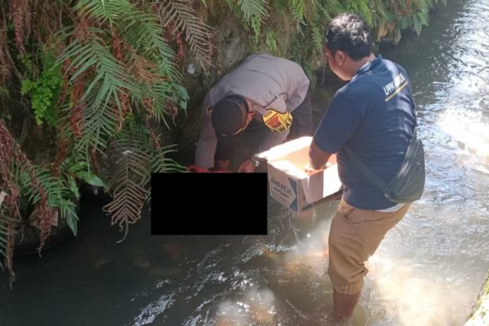 Dikira Boneka, Jasad Bayi Perempuan Ditemukan Di Saluran Irigasi 1