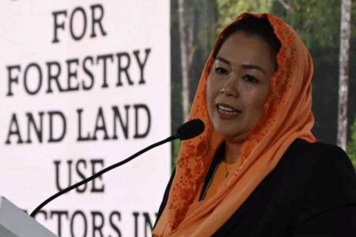 Yenny Wahid Akui Ada Tawaran Menjadi Bakal Cawapres 1