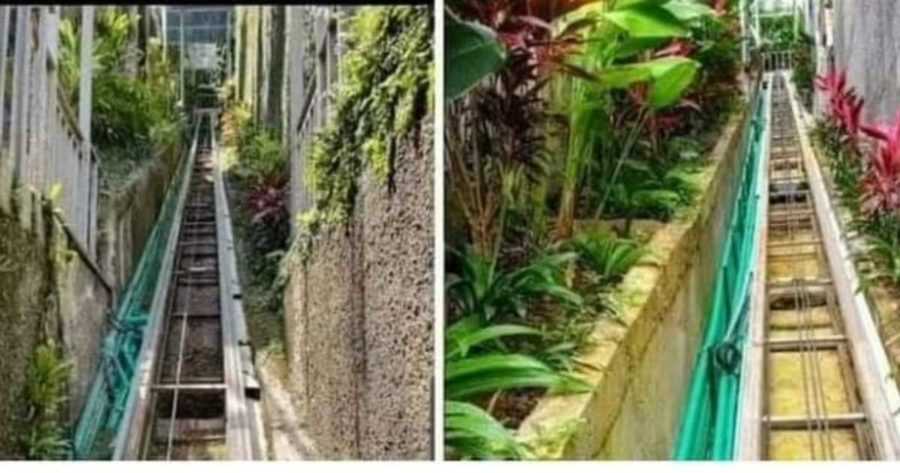 Hasil Pemeriksaan Hanya Ada 1 Tali Sling Lift