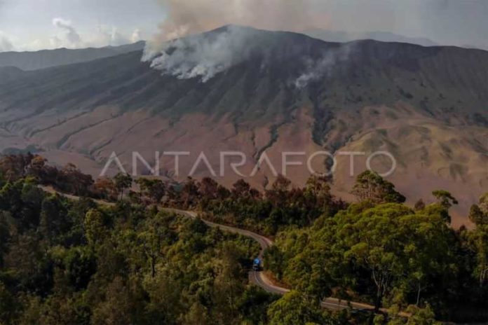 Kebakaran Hutan Belum Teratasi, Empat Pintu Masuk ke TNBTS Ditutup Sementara 2