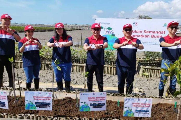 Semarak HUT Ke 53, Astra Motor Tanam 10.000 Bibit Mangrove 1