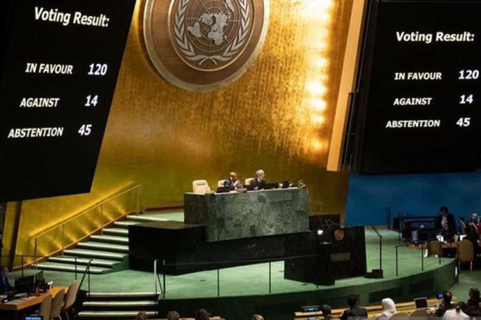 UAE Ajukan Sidang Darurat Dewan Keamanan PBB Bahas Situasi Di Gaza 1