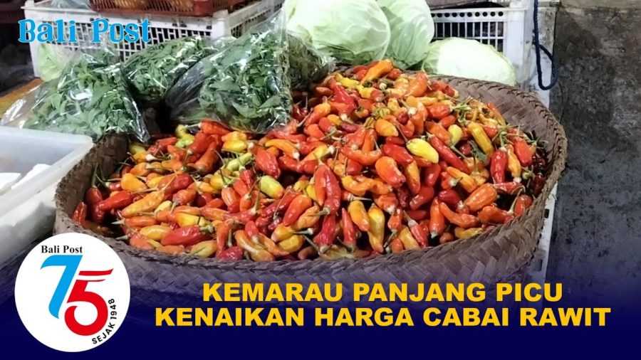 Kemarau Panjang Picu Kenaikan Harga Cabai Rawit 2
