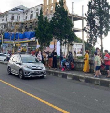 Lalat Menjadi Pandemi, Pelaku Wisata Desak Pemkab Bangli Segera Tangani
