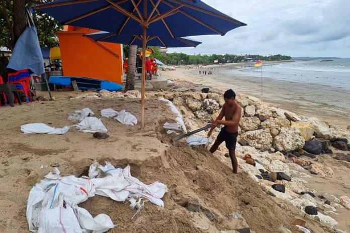 Pedagang Bongkar Kantong Pasir Di Pantai Kuta 1