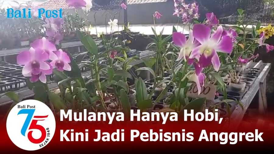Mulanya Hanya Hobi, Kini Jadi Pebisnis Anggrek 2