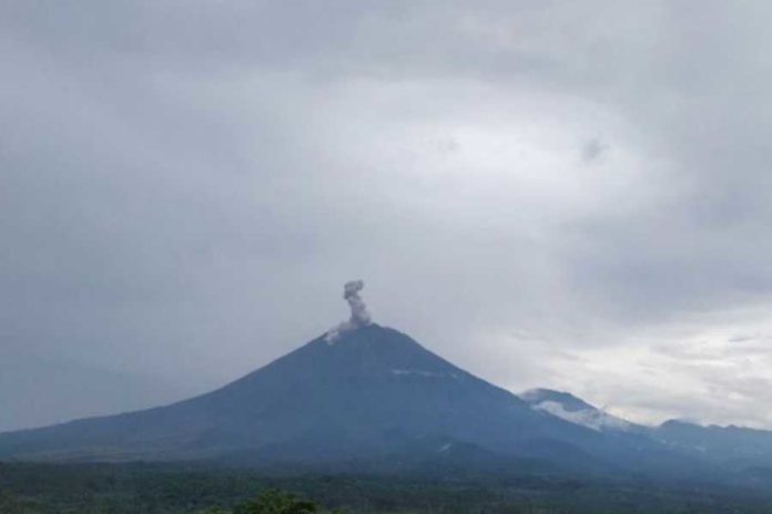 Gunung Semeru Erupsi, Ketinggian Letusan Capai 1,3 Km 1