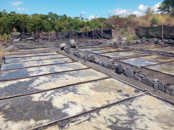 Musim Hujan, Patani Baturinggit Hentikan Produksi Garam 1