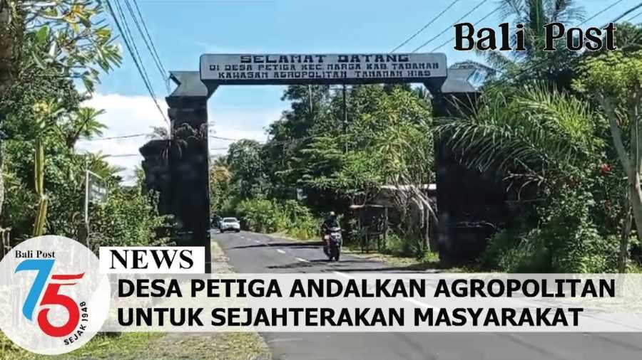 Desa Petiga Andalkan Agropolitan untuk Sejahterakan Masyarakat 2