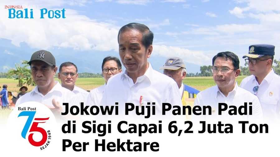 Jokowi Puji Panen Padi di Sigi Capai 6,2 Juta Ton Per Hektare 2