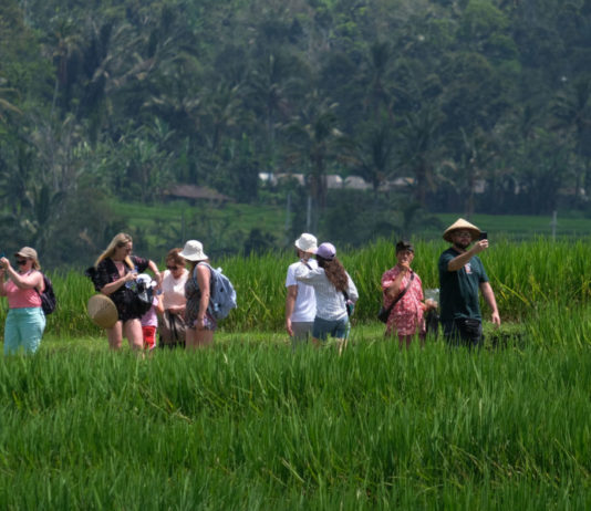 Kelola Jatiluwih Berkelanjutan, Hindari Saling Menyalahkan