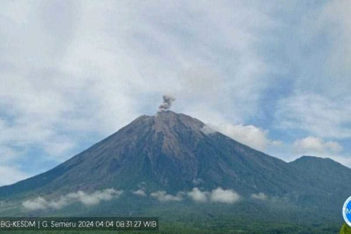 Gunung Semeru Kembali Lontarkan Abu Vulkanik 1