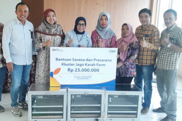 Pemberdayaan BRI, Peternakan Ayam Di Surabaya Ini Berkembang Dan Bisa Bantu Banyak Orang 1