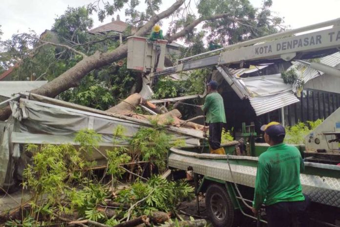 Pohon Perindang Di Renon Tumbang, Satu Bangunan Rusak 1