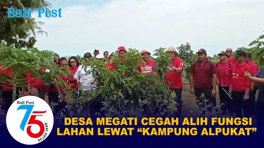 Desa Megati Cegah Alih Fungsi Lahan Lewat “Kampung Alpukat” 2
