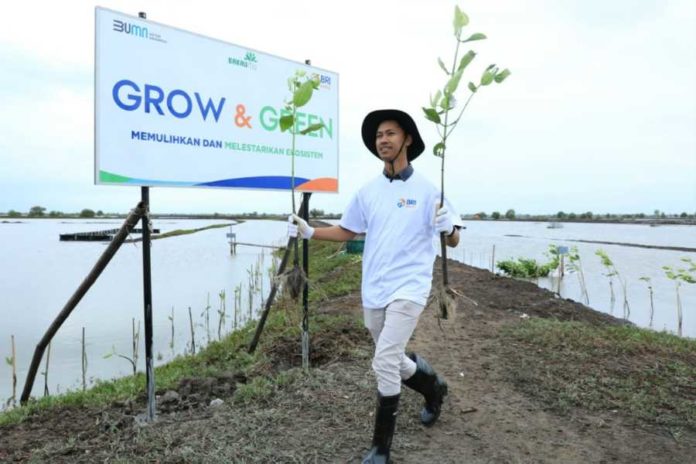 Terus Meningkat, Portofolio Pembiayaan Berkelanjutan BRI Capai Rp787,9 Triliun Di 2024 1
