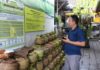 Disoroti, Pendistribusian LPG 3 Kg di Karangasem Diduga Tak Tepat Sasaran