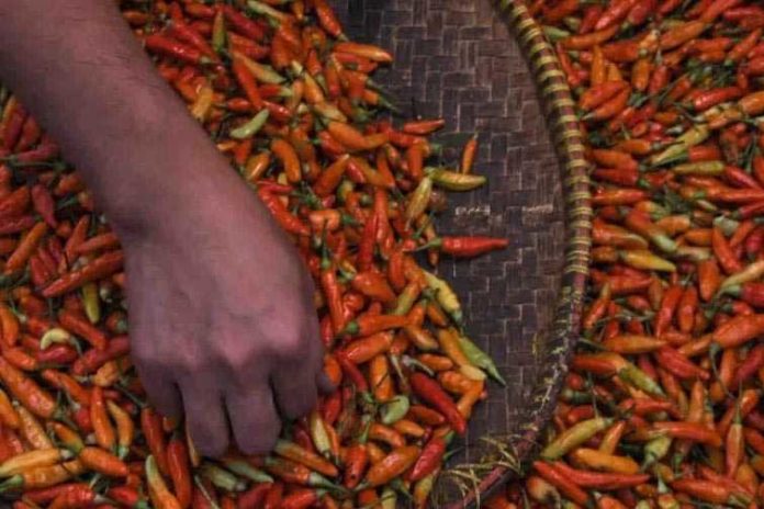 Beras Naik Dan Cabai Rawit Turun Jadi Rp43.580 Per Kg 1