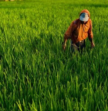 5 Berita Koran Bali Post Terbit Hari Ini, Sabtu 8 Agustus 2026