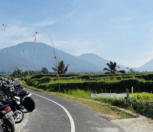 Lahan Pertanian Menyusut, Jumlah Subak Justru Bertambah