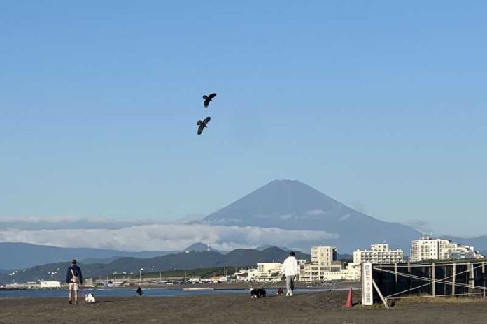 Gunung Fuji Masih Tak Bersalju Hingga Awal November 1