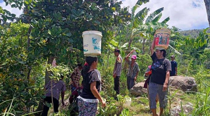 Musim Kemarau Mulai Ancam Bali, Ratusan Banjar Rawan Krisis Air