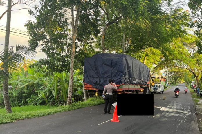 Tabrak Truk, Dua Pengendara Motor Tewas 1