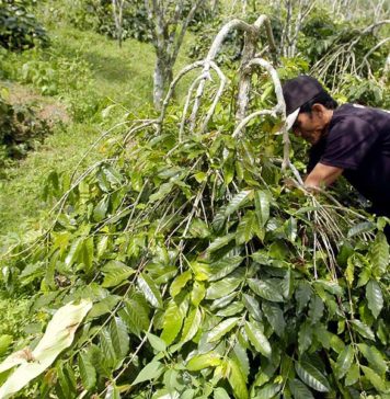 Agrowisata Jadi Strategi Baru Penggerak Ekonomi Badung